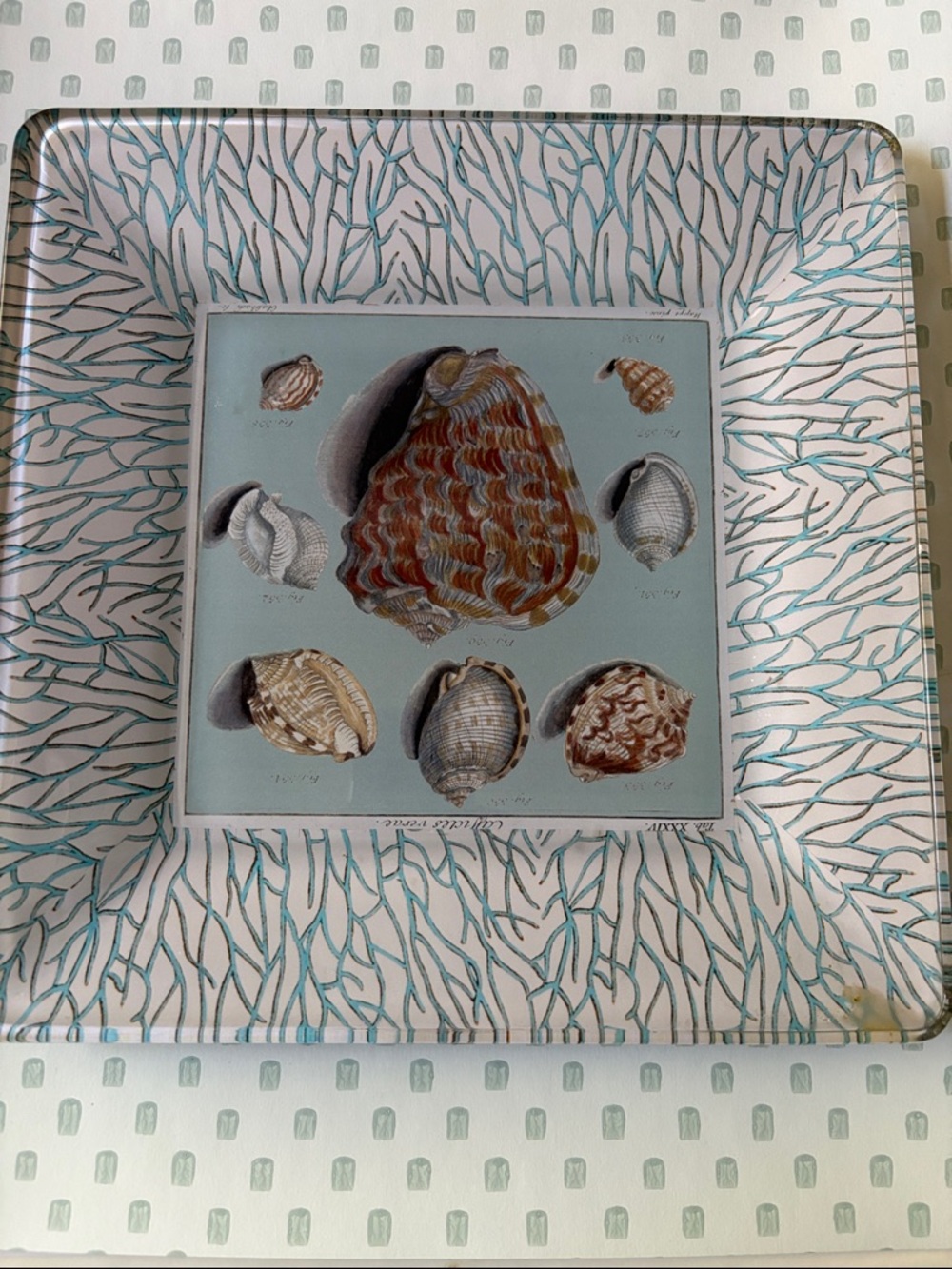 Sea Shell decoupage  Glass Art Plate/dish  - Teal and White